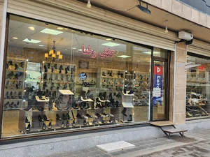 کیف و کفش رضا