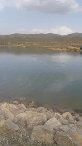 شرکت بازارگستر پگاه منطقه چهار