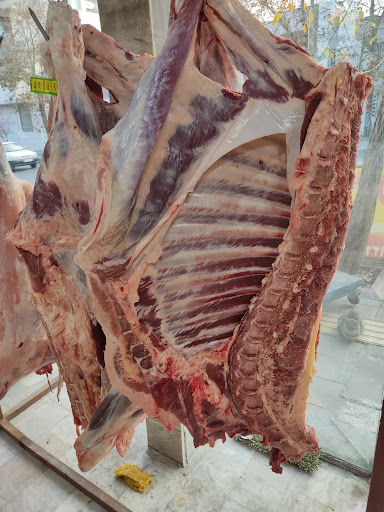 پروتئینی ارومیه(نمایندگی پخش مرغ خانگی)