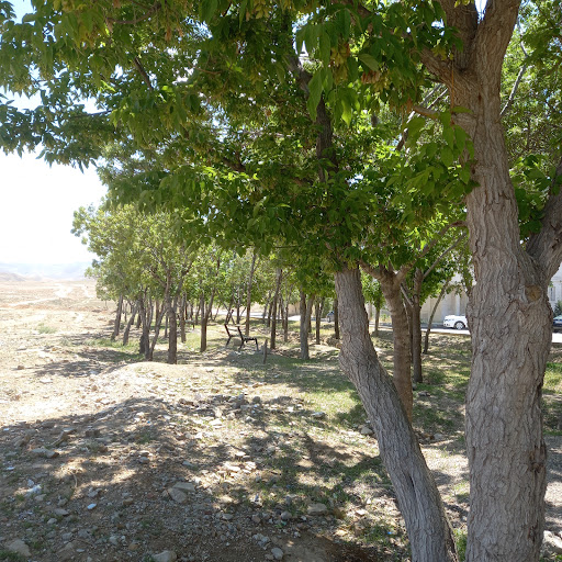 پارک فرهنگیان