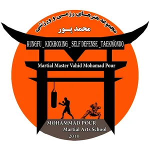 باشگاه رزمی کونگ فو کاران 3