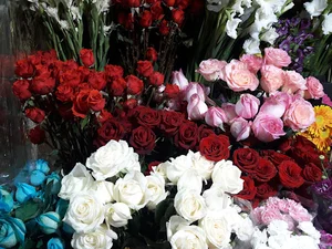 Camelia.florist