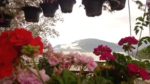 اقامتگاه