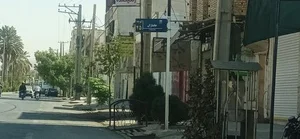 آبغوره و آبلیموگیری سعید