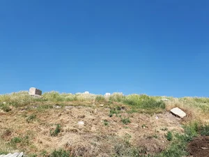 تپه تاریخی گوی تپه