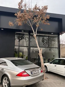 باغ ویلا رادوان
