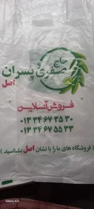 زیتون صفری 3