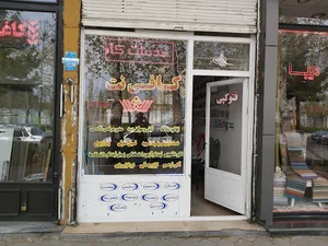 Shams Print