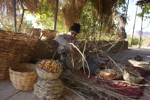 گروه تجاری ستاره درخشان استهبان