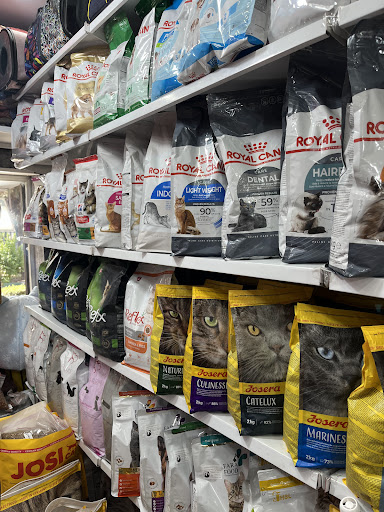Dama petshop پت شاپ داما