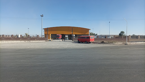 سردخانه نخل استوار