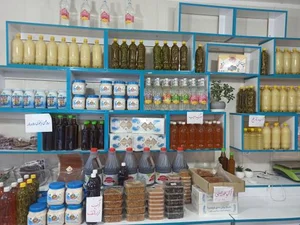 سبزیجات آماده طبخ تربچه پلاس 3