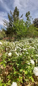 زمین بازی کودکان پارک یاس جنوبی