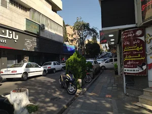 ریه تهران