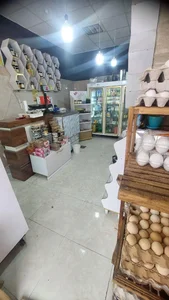 لبنیاتی شیر طلا 3
