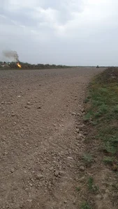 ملک شخصی جواد الهایی