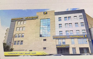 بیمه پاسارگاد