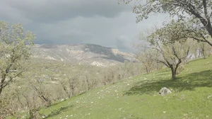 پارک جنگلی چغاسبز