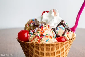 بستنی فالوده گل یخ