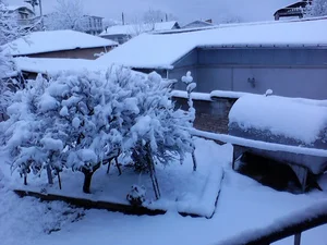 نانوایی امیری