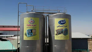 کارخانه مهگل
