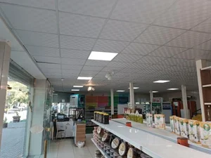 سبزیکده ریحان 2
