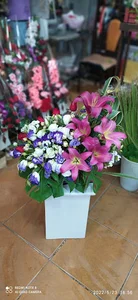 گلسرای گل سایه ملایر
