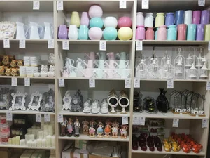 کاکتوس گالری شعبه اصفهان