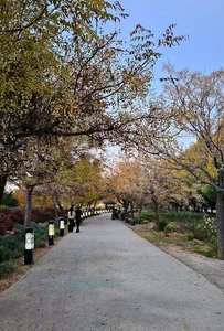 باغ روشنی