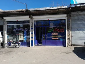 پژویدک امیر