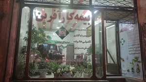 بیمه کارآفرین نمایندگی پیشقدم