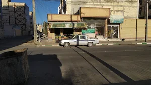 سبزی فروشی پودینه