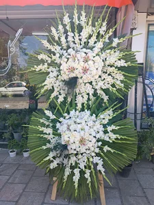 Flora flower shop