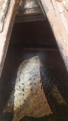 سنگک پزی ولیعصر