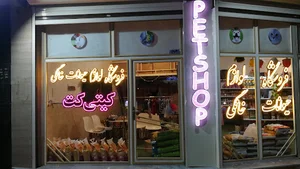 پت شاپ کیتی کت