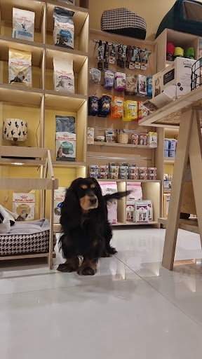 Sanjab Pet Store | پت شاپ سنجاب