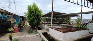پرورش ماهی