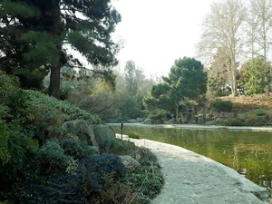 باغ صخره ای
