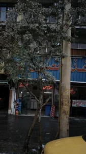 اغذیه نصیری 2