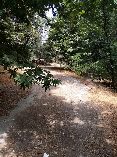 کوچه باغ محله کتورا