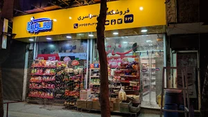 سناتور
