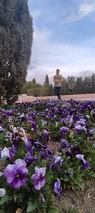 دانشگاه چمران گرگان