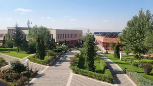 کافه داوود