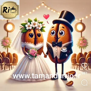 کافه ریو تمندر
