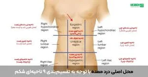 انوع مختلف معده درد، علت و علائم آن - دکتر عباسعلی احمدی