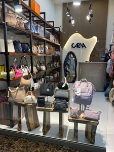 کیف کارینا 3