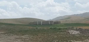 شیر پزی