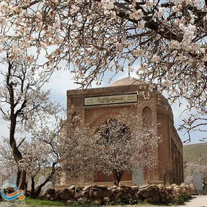نصب دزدگیر خودرو