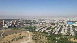 گل سرخ