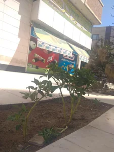 هایپر مارکت برهان 4